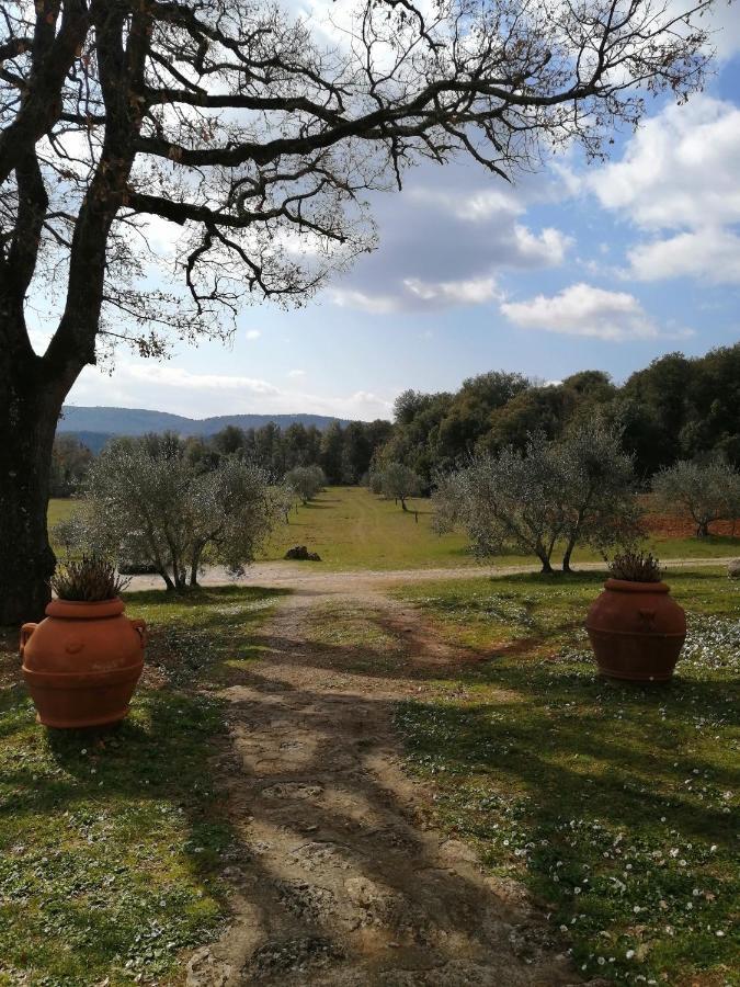Gli Archi Apartment Monteriggioni Ngoại thất bức ảnh